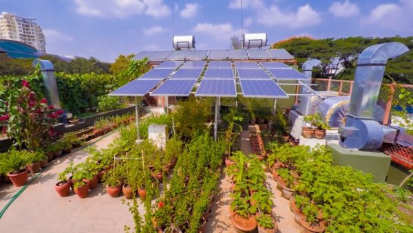 Solarocta rooftop canopy